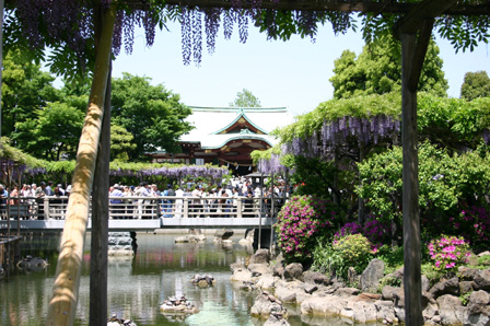 kameidotenjin-fuji-2-web.jpg